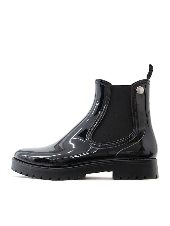 Scholl