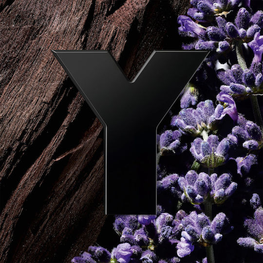Ysl Y Eau de Parfum 200ml