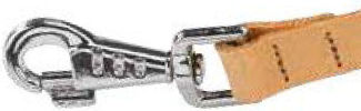 Ferplast Dog Leash/Lead Leather in Beige color