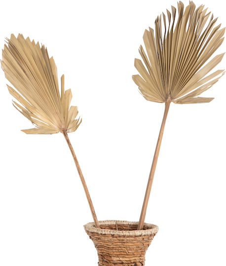 HomeMarkt Decorative Fan Handmade Brown Wicker Material 102x3x30cm