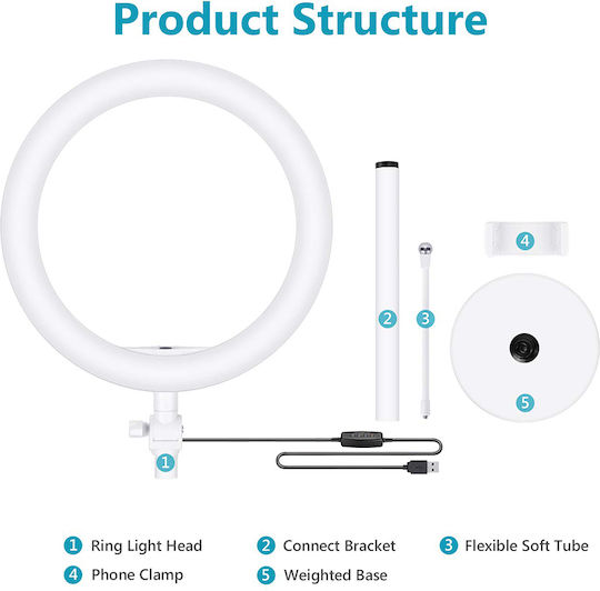 Techsuit Rl-02 KF237212 Ring Light 25.4cm with Desktop Stand/Mount Stand and Mobile Holder