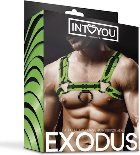 IntoYou Bondage Chest Grün