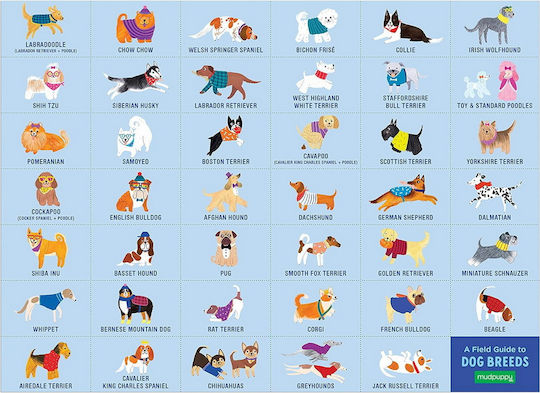 Παιδικό Puzzle Dog Park 64pcs Mudpuppy