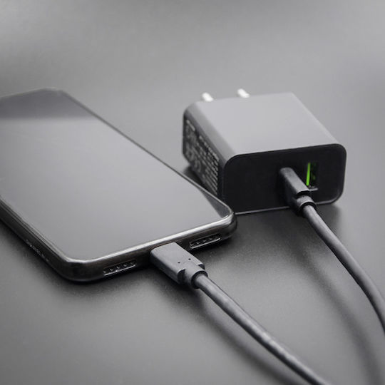 Qoltec USB 3.1 Cable USB-C male - USB-C Μαύρο 2.5m 52352