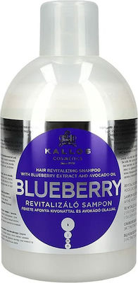 Kallos Blueberry Hair Σαμπουάν Αναδόμησης/Θρέψης για Ξηρά Μαλλιά 1000ml