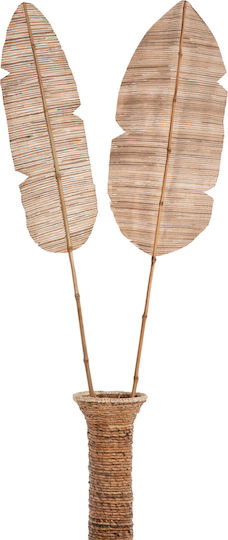 Dekorative Feder Braun 32cm HomeMarkt
