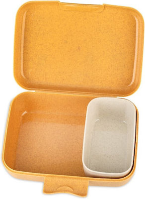 Kids Lunch Plastic Box Multicolour