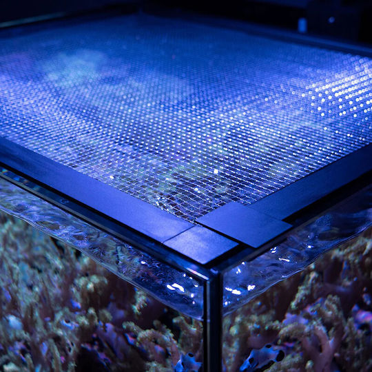 Waterbox Aquariums Aquarium Accessories