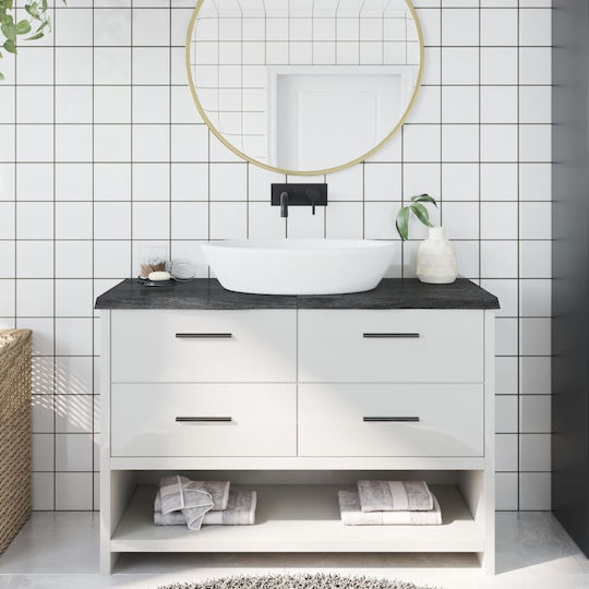 vidaXL Countertop without Sink L120xW60xH40cm Gray