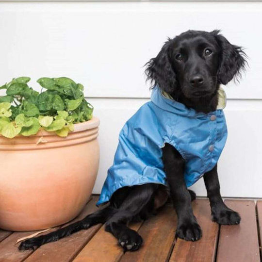 Fuzzyard Hundemantel Wasserdicht Blau Groß mit Rückenlänge 70 cm.