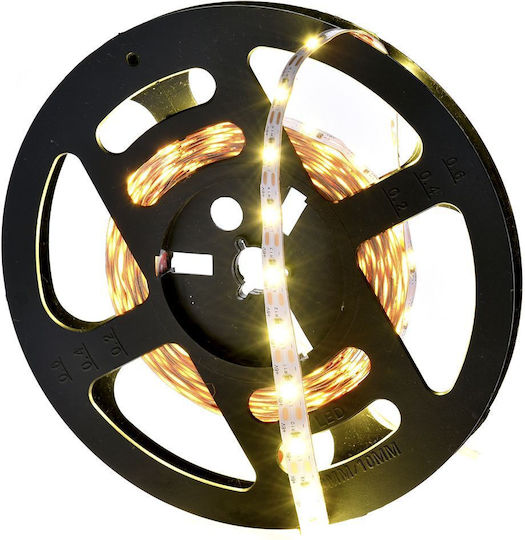 Iliadis LED-Streifen 12V Warmes Weiß Licht 5m