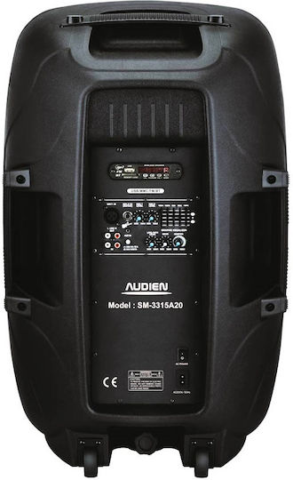Audien SM-3315A20 Αυτοενισχυόμενο Ηχείο PA 120W με Woofer 15"