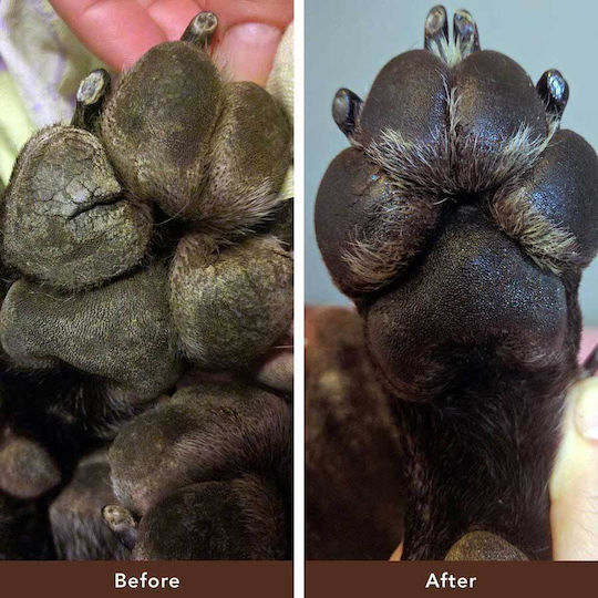 Natural Dog Paw Soother για Πατούσες Σκύλου 30ml