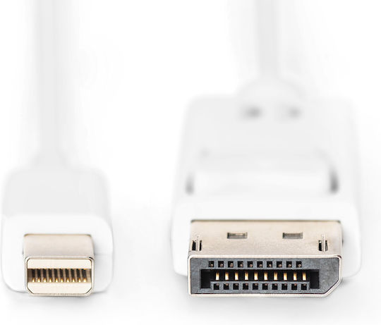 Digitus Cable DisplayPort male - mini DisplayPort male 2m (AK-340102-020-W)