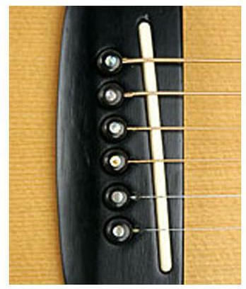 Daddario Plastic Bridge Pins Ebony
