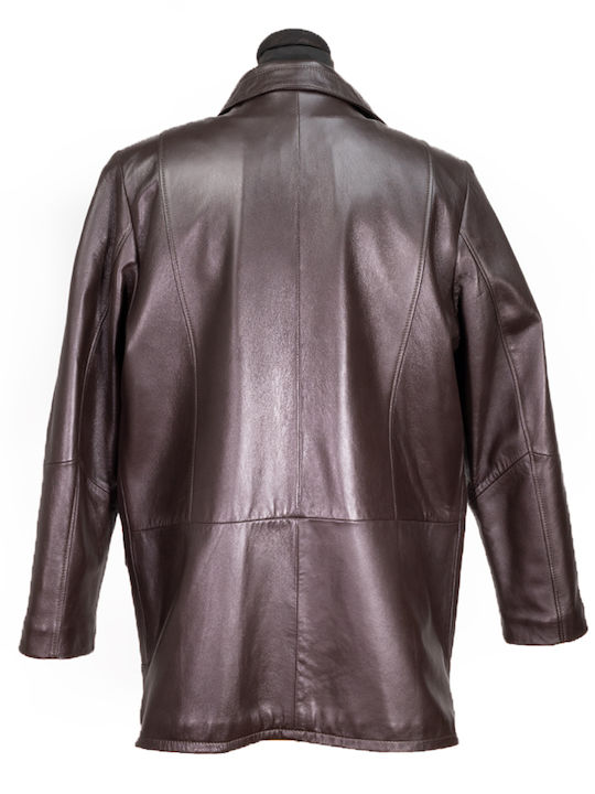 Ageridis Leather Men's Winter Leather Jacket Brown