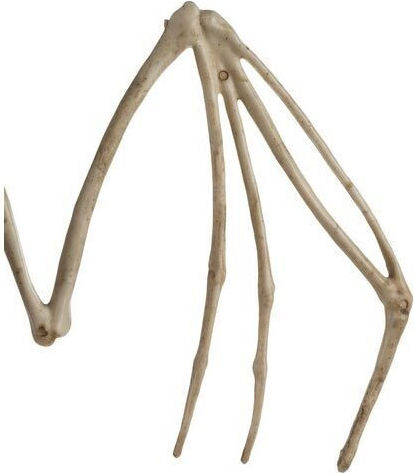 Carnival Accessory Beige for Halloween 1pcs