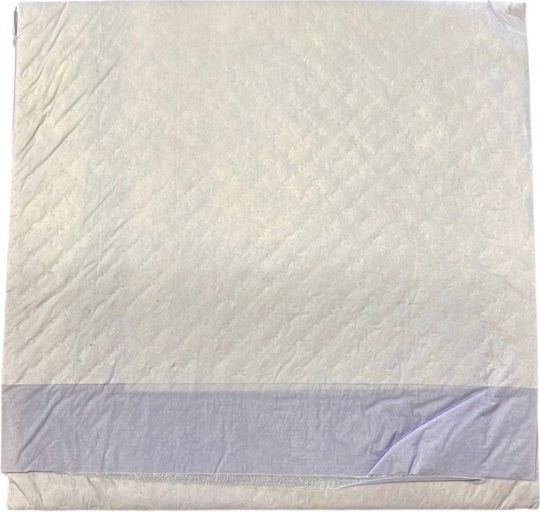 Pet Interest Training Pads Επιδαπέδια Πάνα Σκύλου 60x60cm 100τμχ