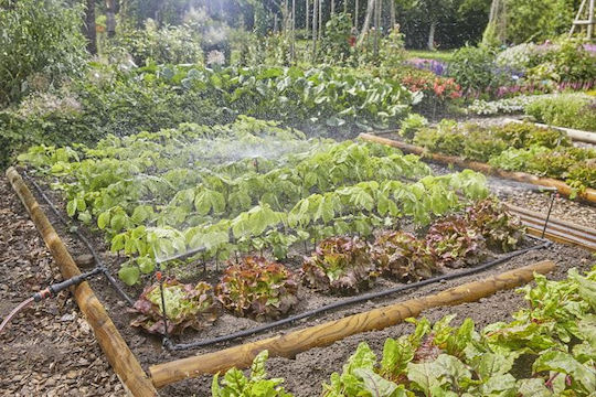 Gardena Gardena Micro Drip System Automatic Irrigation Drip for Pots