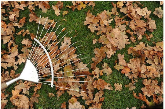 Amego Α-Τ627 Lawn Rake
