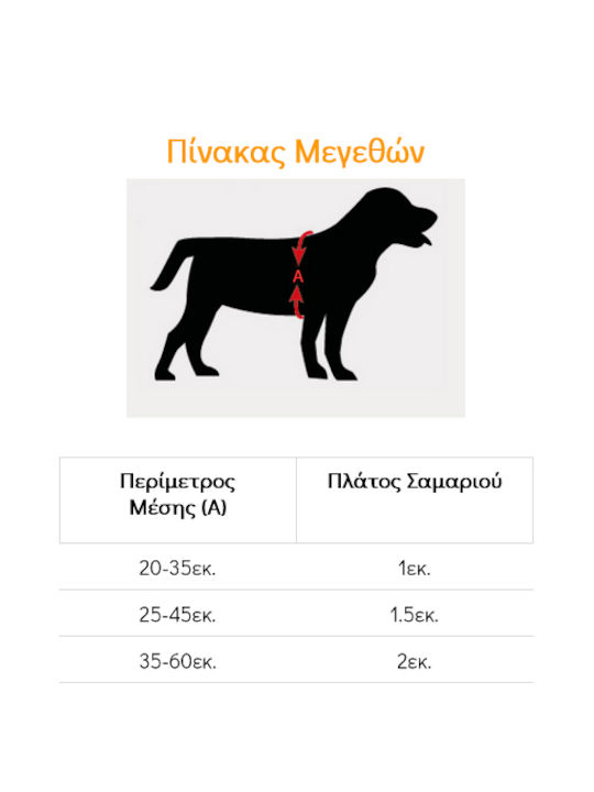 Glee Розов Medium / Small Glee Розов Medium / Small