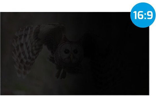 Natec Privacy Φίλτρο Οθόνης Owl 27"