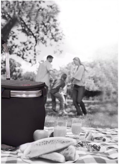 Iris Barcelona Enjoy Life Picnic Basket 20lt in Grey Color