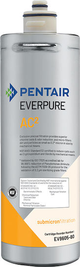 Pentair Ανταλλακτικό Φίλτρο Καφετιέρας Everpure AC2