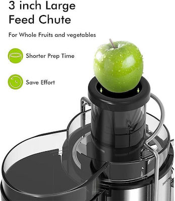 Royalty Line Juicer 500W Inox Silver