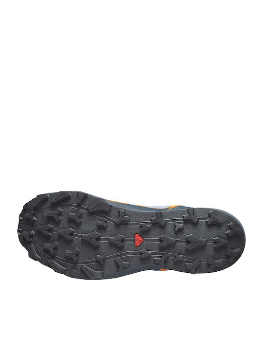 Salomon Thundercross Men's Hiking Shoes Waterproof with Gore-Tex Membrane Gray