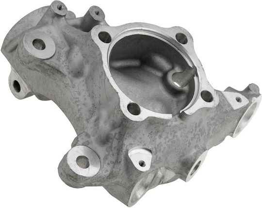 NTY Steering Knuckle for BMW X1 ZZP-BM-019