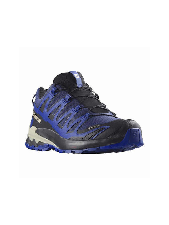 Salomon Xa Pro 3d V9 Ανδρικά Trail Gore-Tex Μπλε