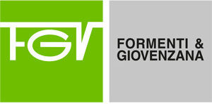 FGV Οδηγός Συρταριού Επεκτεινόμενος με Φρένο Γκρι 171εκ. 65-112