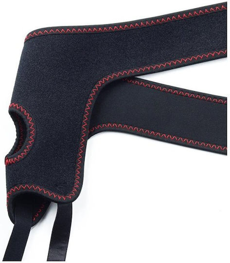 Lovetoy Underwear with Dildo in Black Color