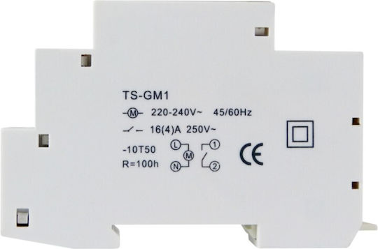 Analog Time Delay Relay Daily With Standby 100 Hours
