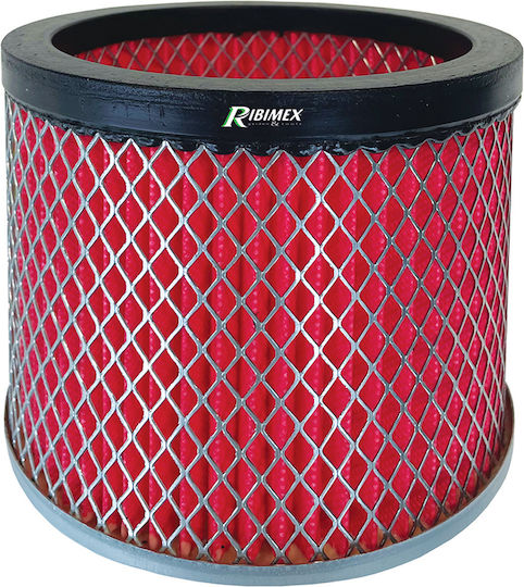Ribimex PRCEN008/HEPA Filter Hepa Aschesauger Kompatibel mit Ribimex