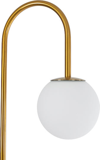 GloboStar Cordelia Floor Lamp H180xW30cm. with Socket for Bulb E27 Gold