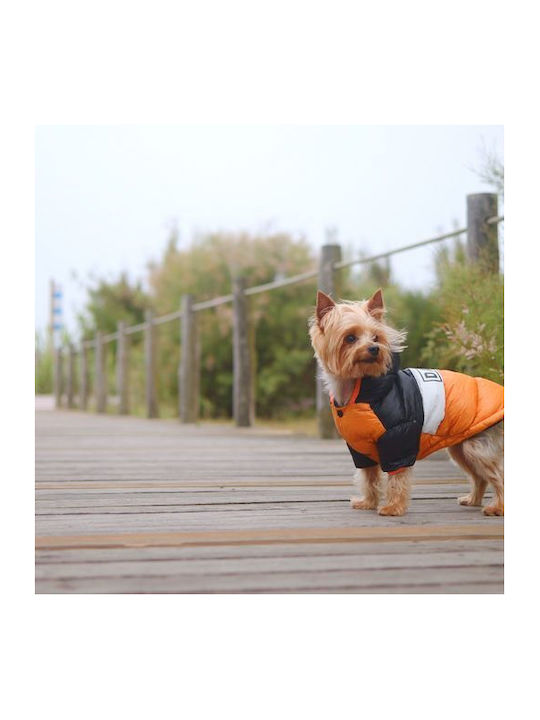 Dashi Кучешки палта Водоустойчиво Orange XLarge с дължина на гръбчето 44 см.