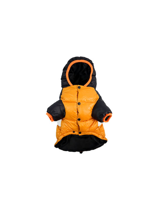 Dashi Orange Waterproof Dog Coat XSmall with 30cm Back Length