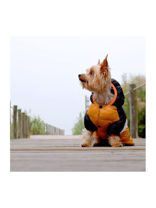 Dashi Hundemantel Wasserdicht Orange Klein mit Rückenlänge 34 cm.