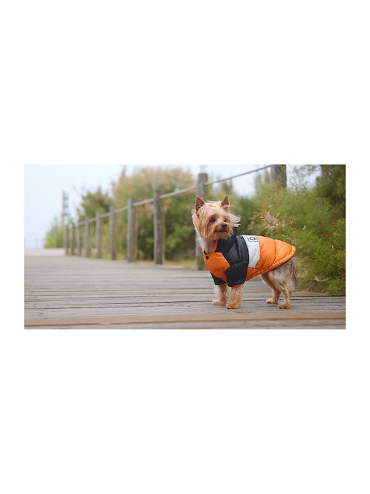 Dashi Hundemantel Wasserdicht Orange Klein mit Rückenlänge 34 cm.