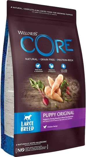 Wellness Wellness Core Large Breed Puppy 10kg Dry Food Grain-Free for Large Breed Puppies with Turkey and Chicken