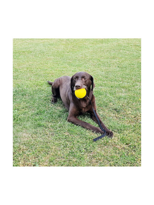 Starmark Training Dog Toy