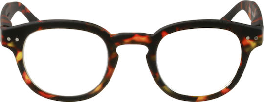 Izipizi #c 's Reading Glasses +2.00 Tortoise