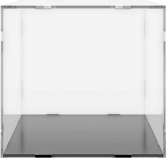 vidaXL Product Display Stand W24xD12xH11cm