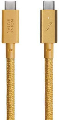 Native Union Belt USB 2.0 Cable USB-C male - USB-C 240W Gold 2.4m (10CAB0188)