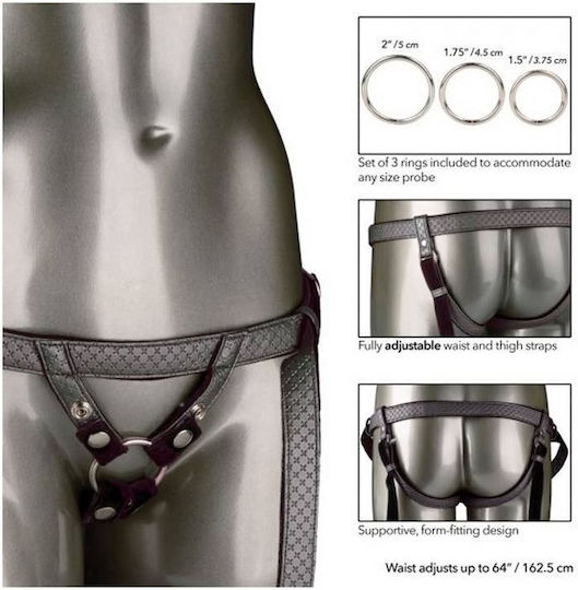 Calexotics Her Royal Harness The Regal Duchess Harnașament în Culoare Negru