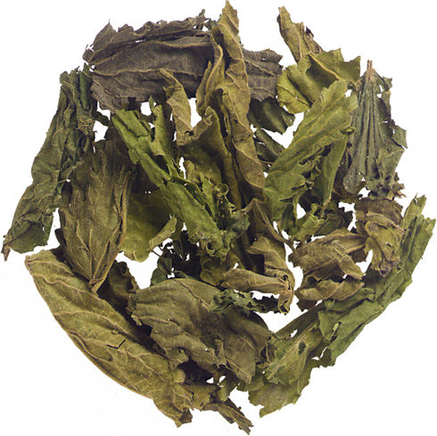 Μεσόγειος Τσουκνίδα 40gr