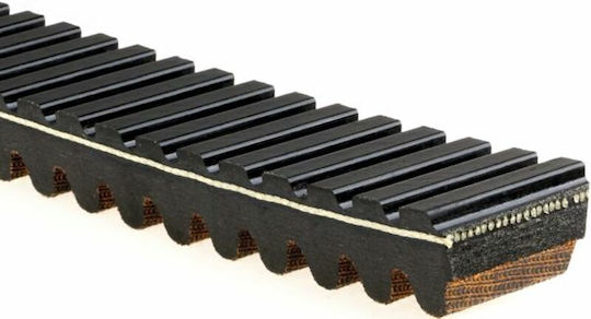 Gates Motorcycle Transmission Belt 29G3596