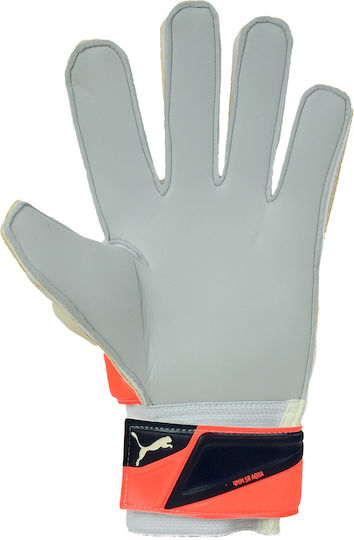 PUMA Evo Power Grip 2 Aqua Adults Goalkeeper Gloves Orange